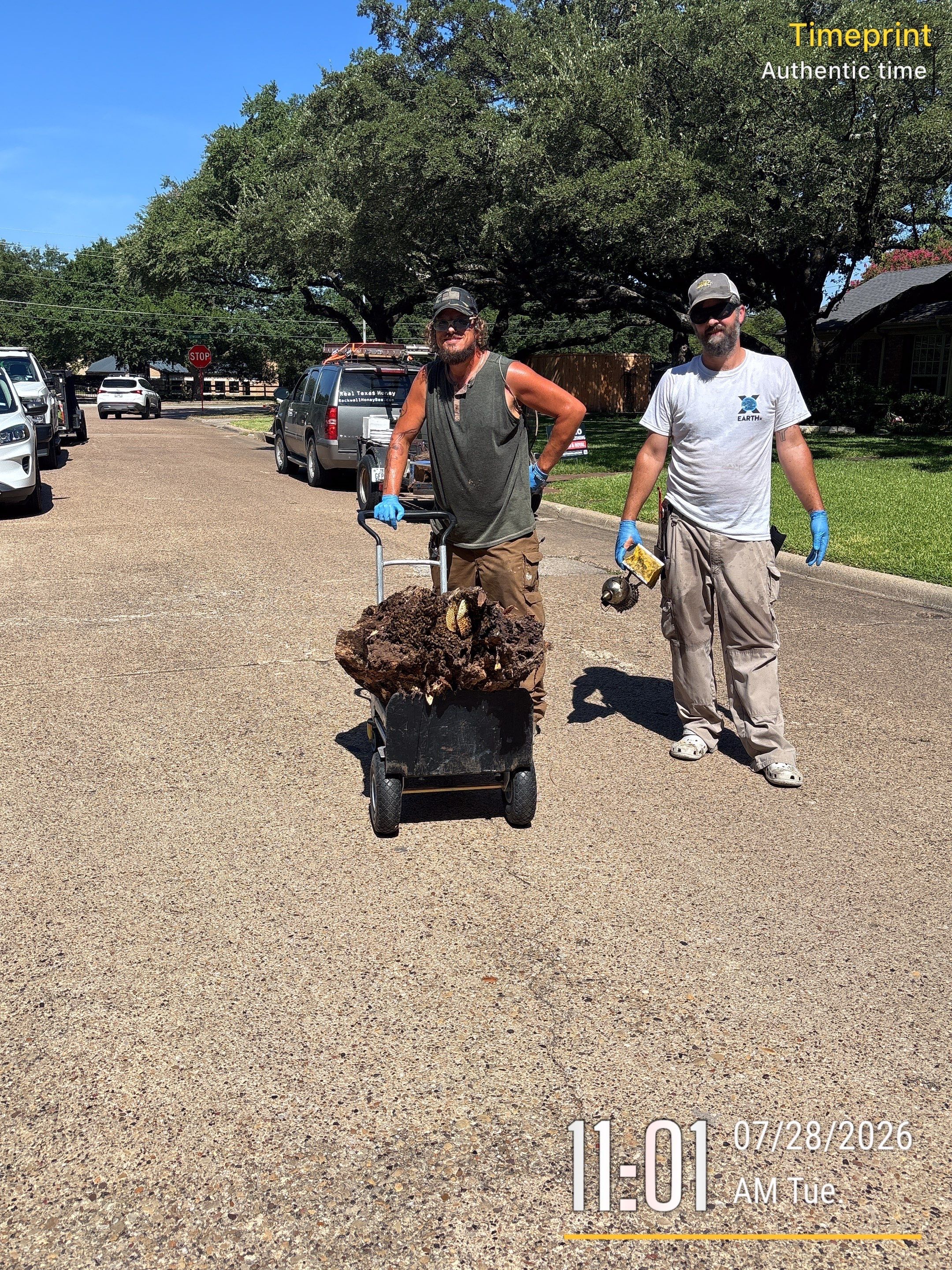 Warranted Removal by Rockwall Honey Bee Company