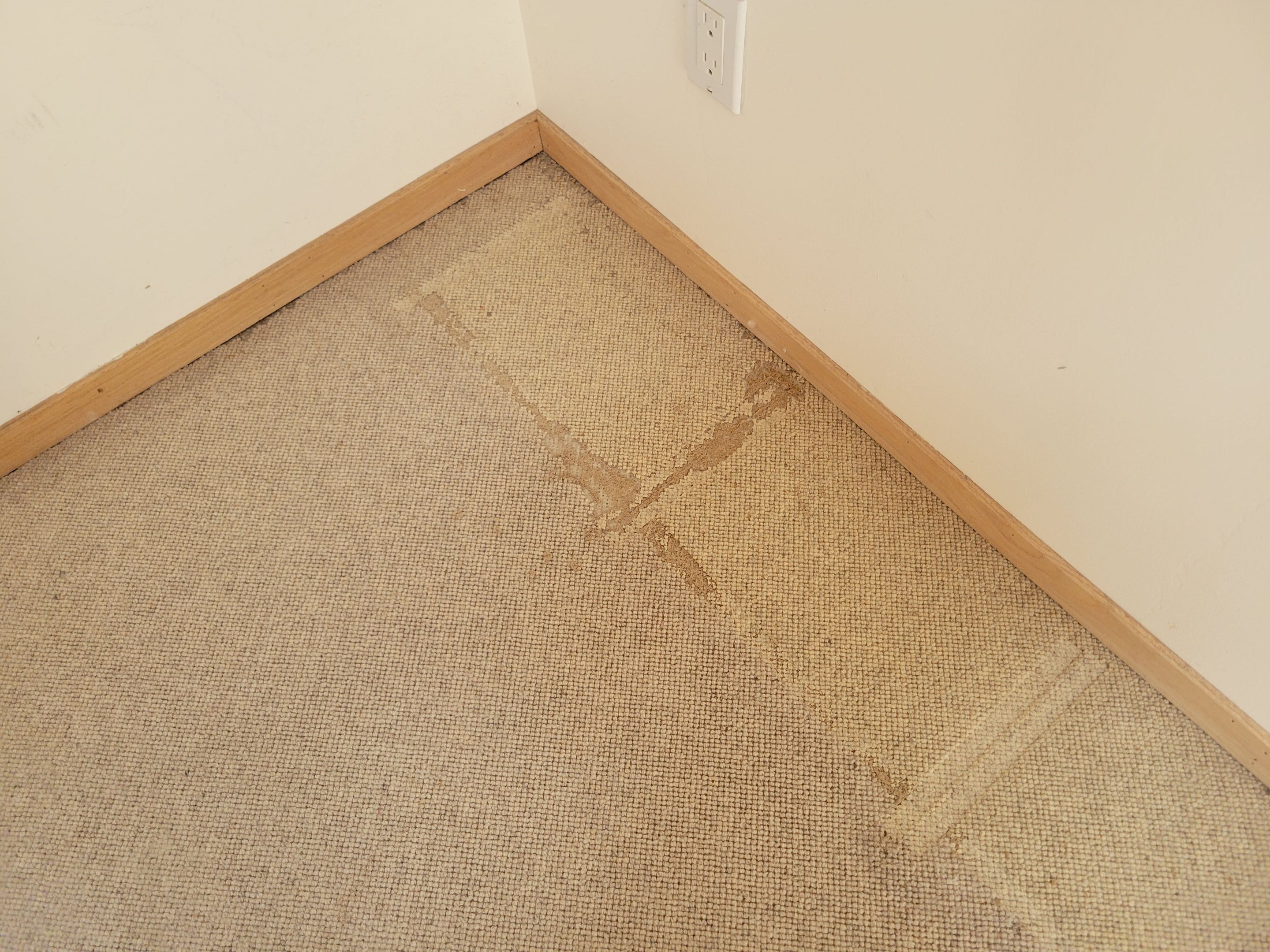 Repair and Cleaning of Wool Carpeting by Ardent Carpet Restore LLC