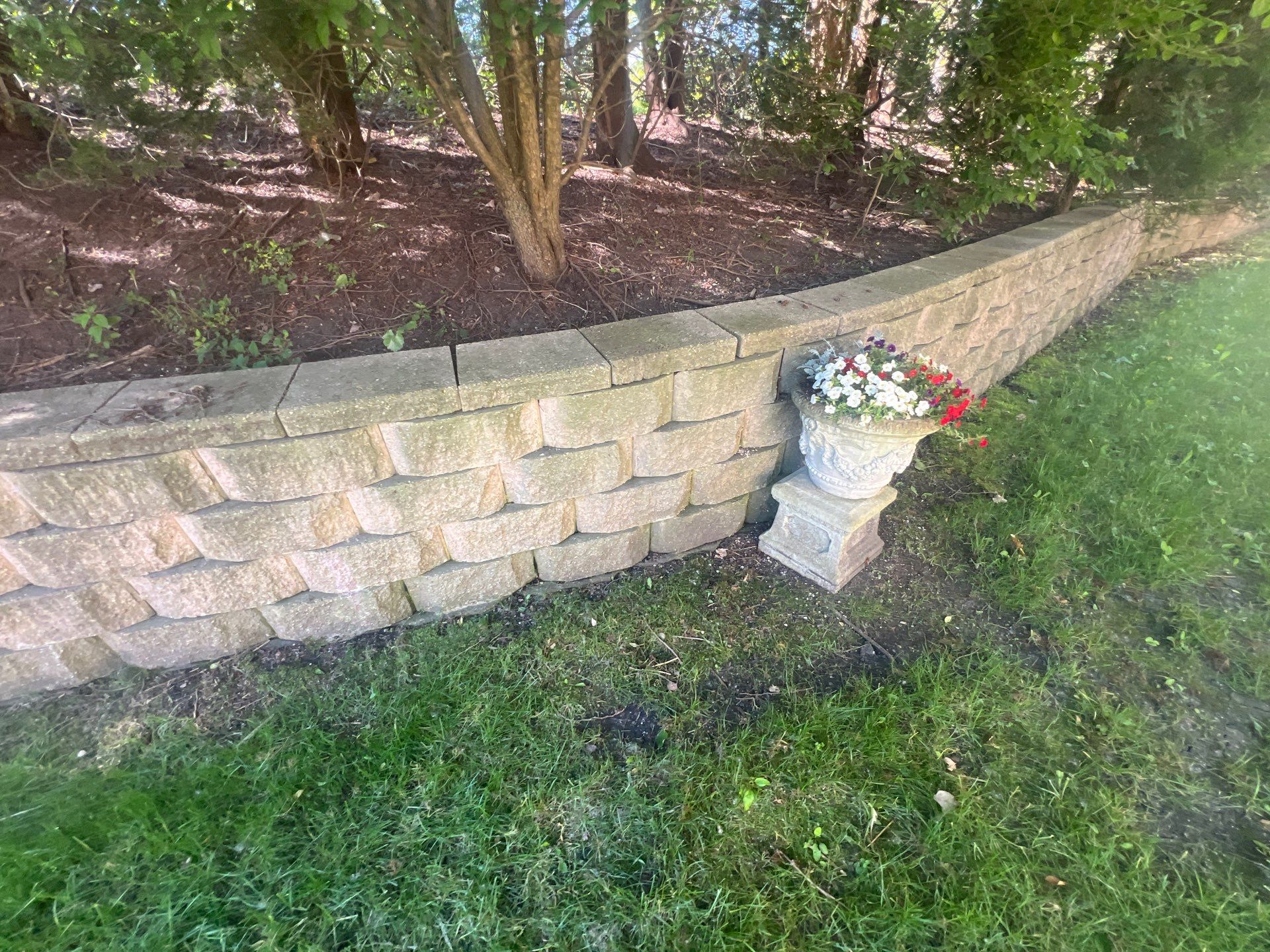 concrete cleaning using Algaecide, soft wash soap by Northern Power Washing LLC.