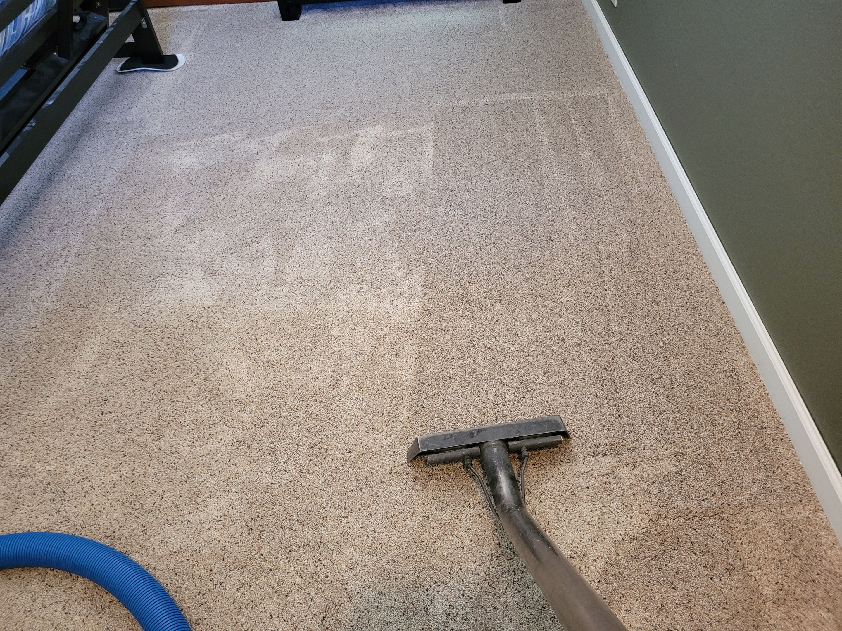 Carpet Cleaning with Pet Treatment by Ardent Carpet Restore LLC