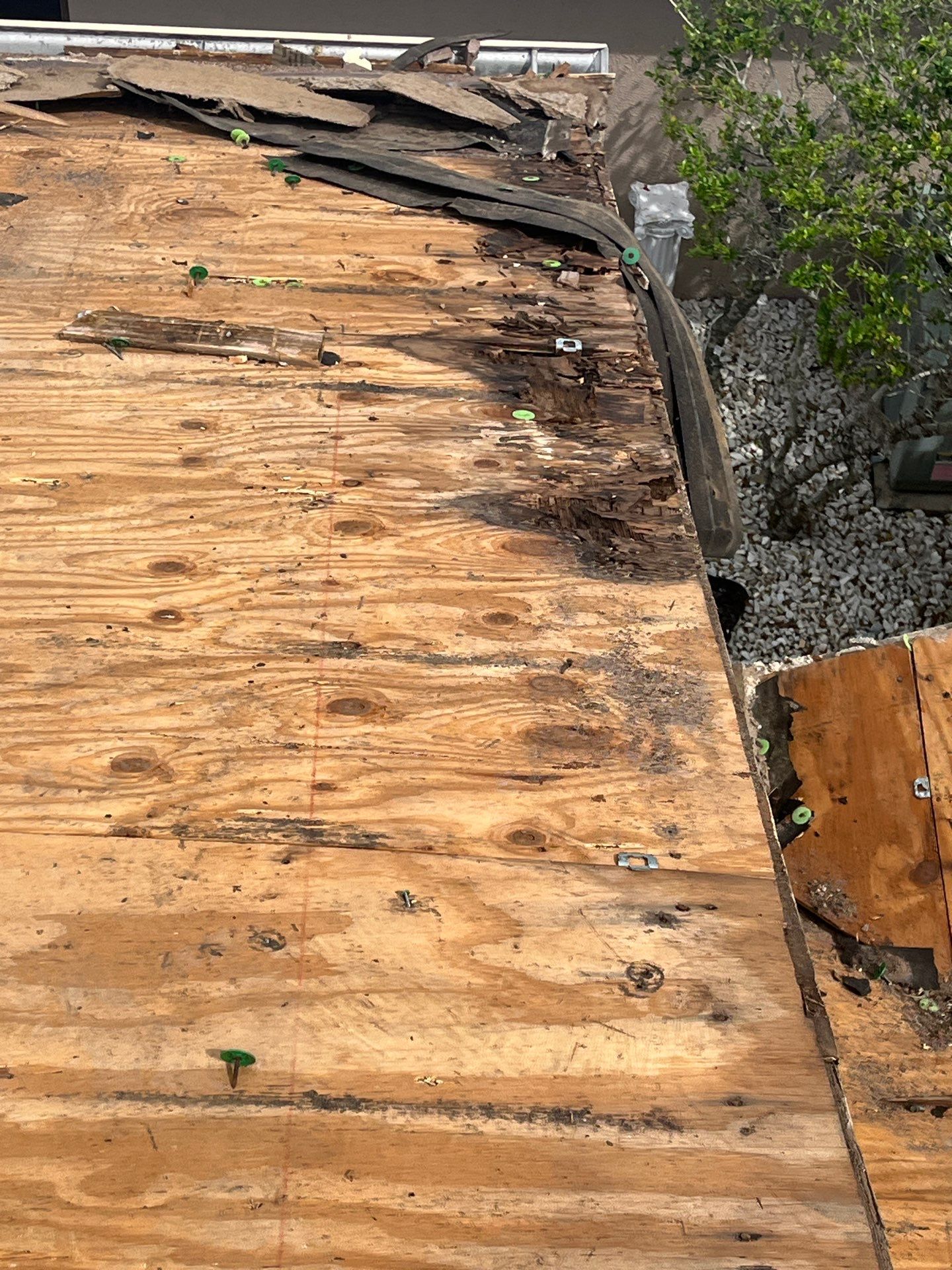 Project in Tampa 33647 by Mitchell Roofing Company LLC