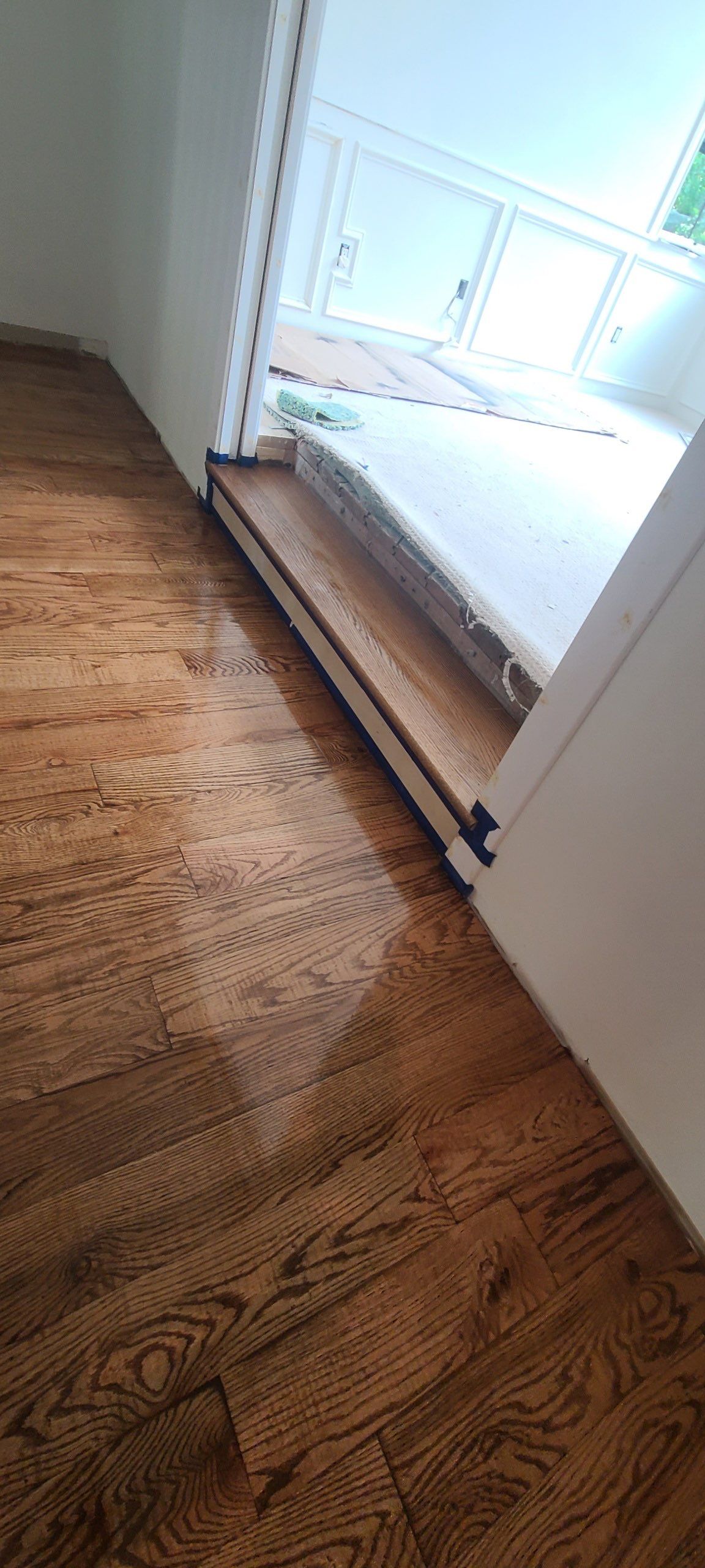 The Napolitano Family by SophAlx LLC