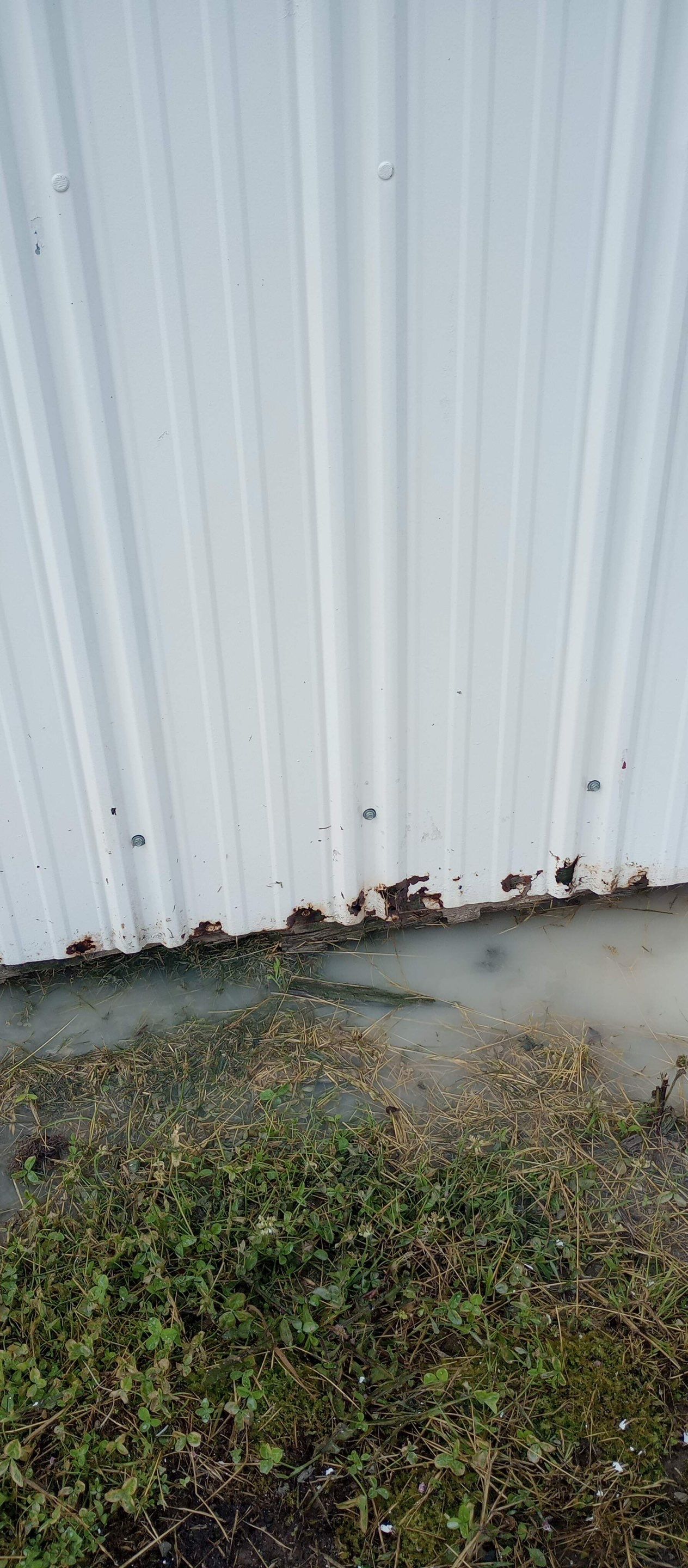 Outdoor Shed Project Near Chaffee by Duncan Painting And Wallcovering