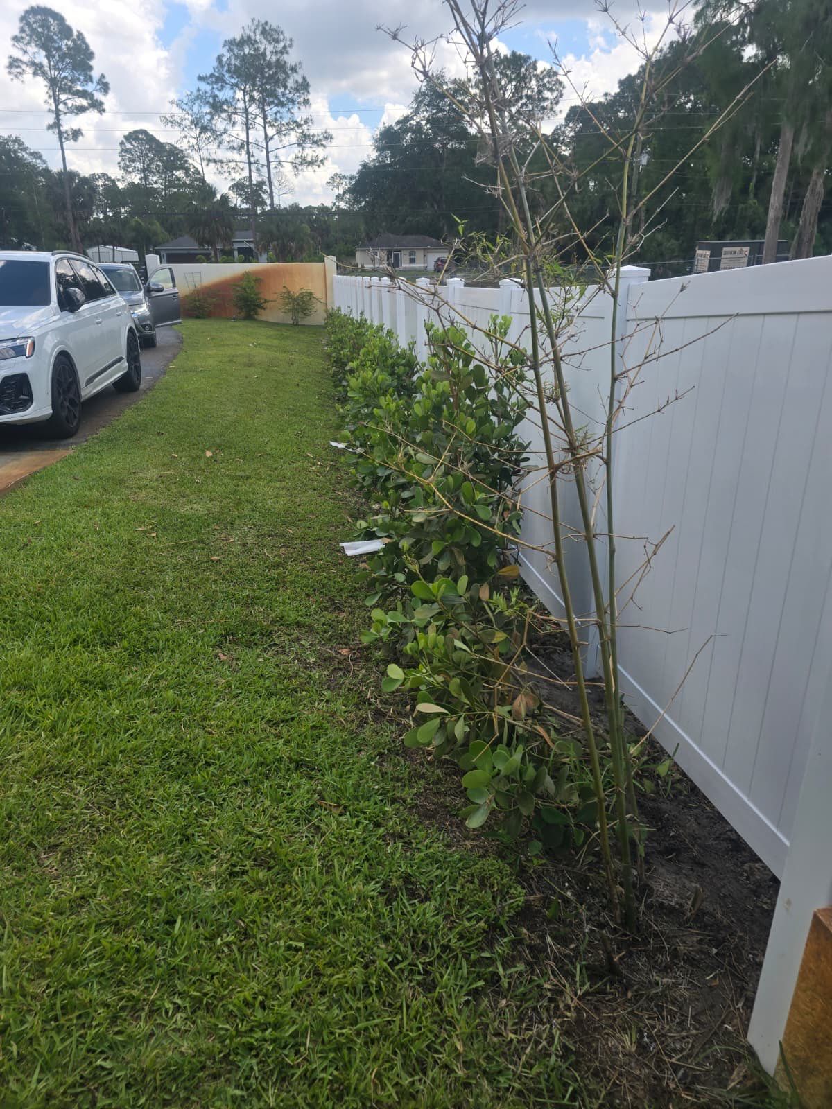 Vinyl Fence and Estate Gate in Naples by True Fence LLC