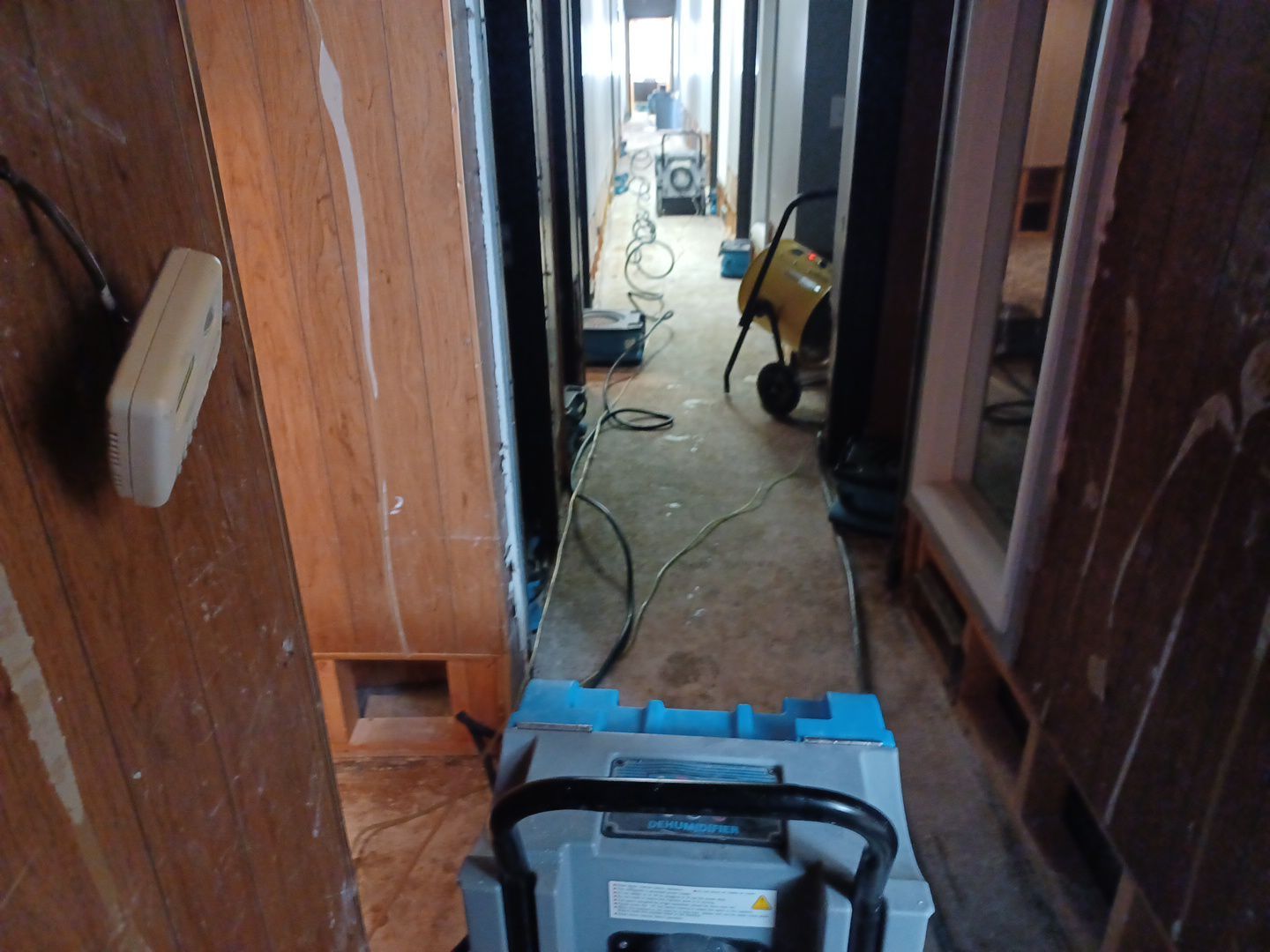 Project in Royal Oak by EzDry Water Mitigation & Property Restoration