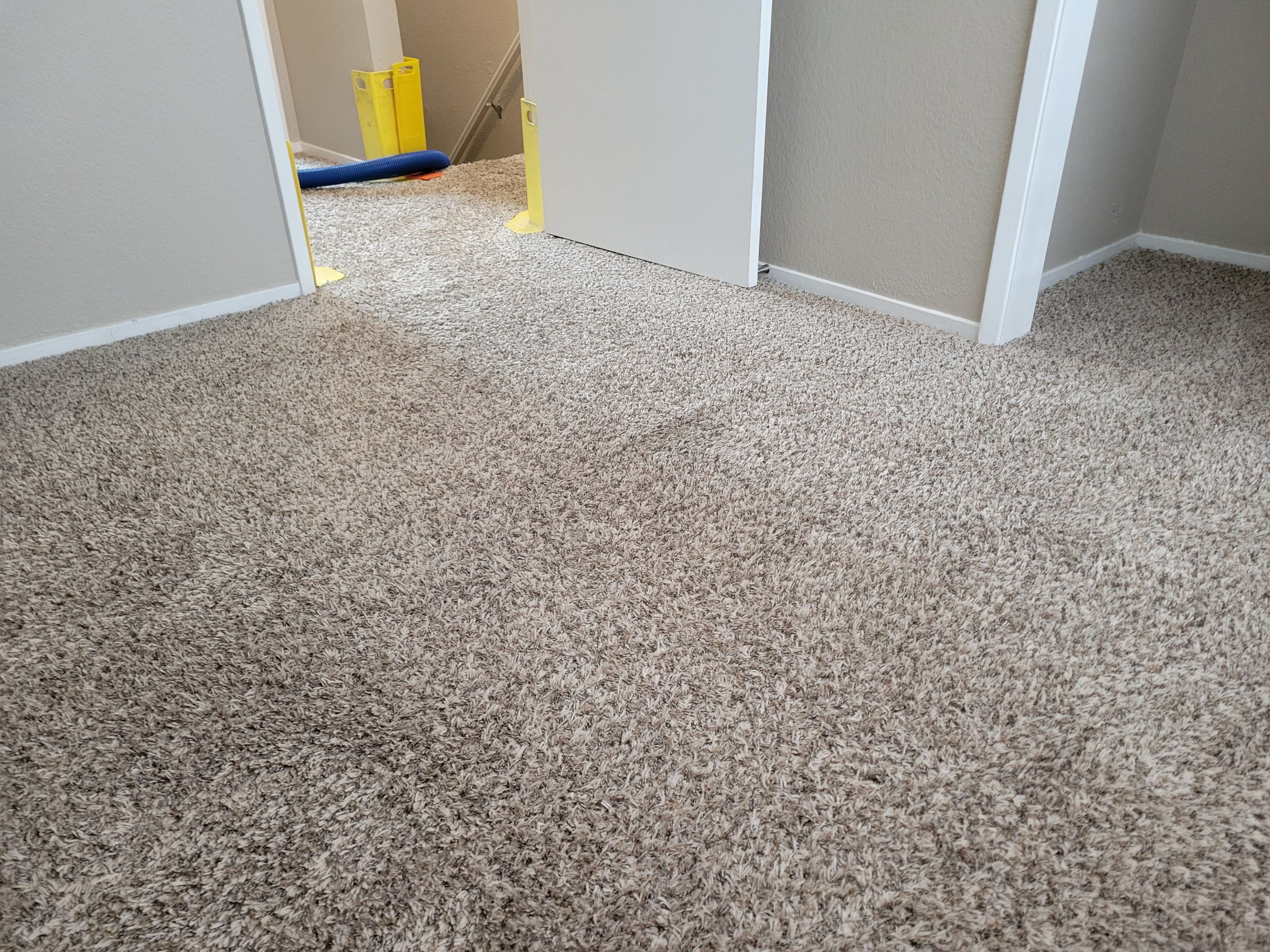 Condo, Move-out Carpet Cleaning by Ardent Carpet Restore LLC