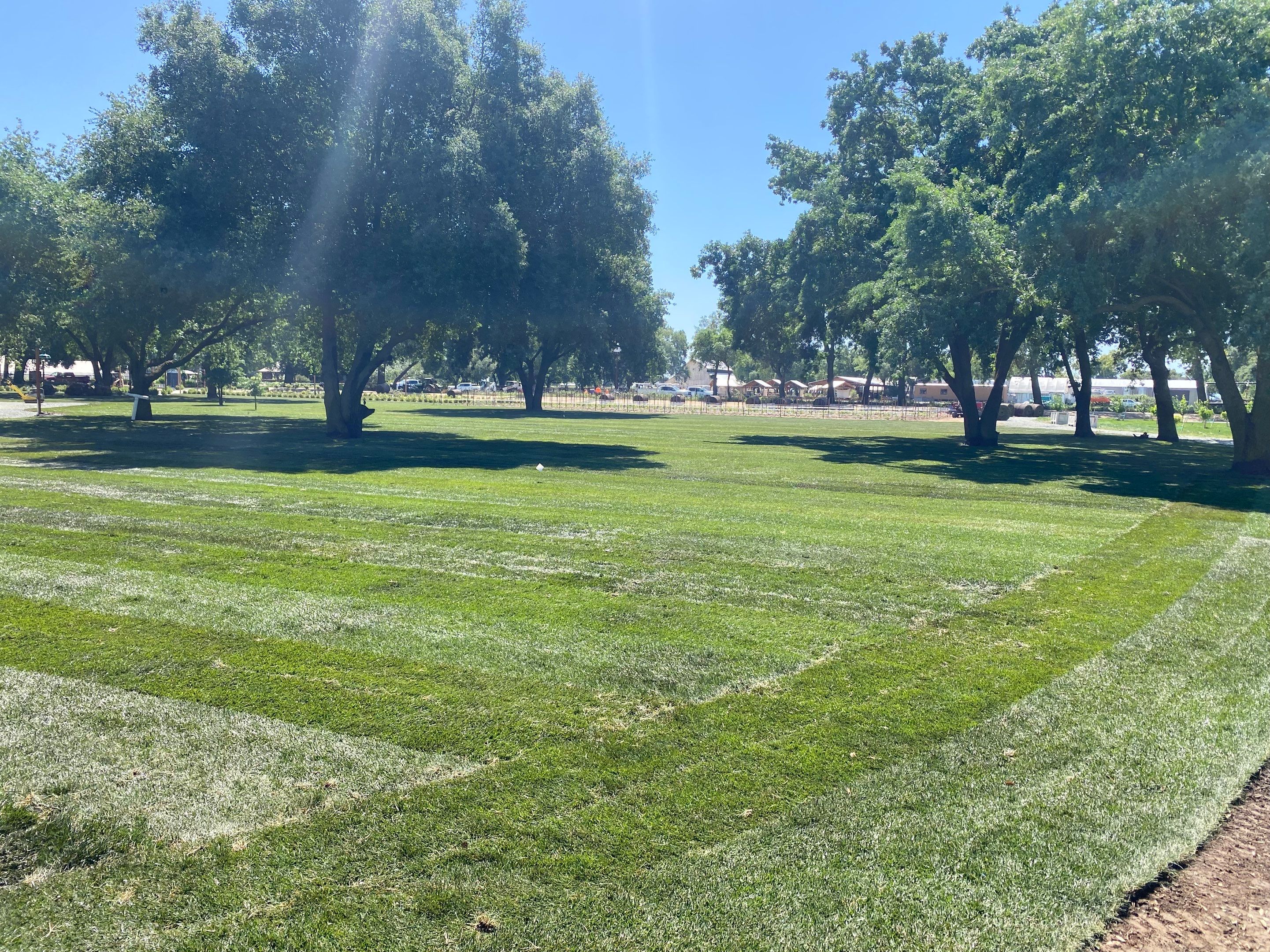 Project in Lodi by A - G Sod Farms