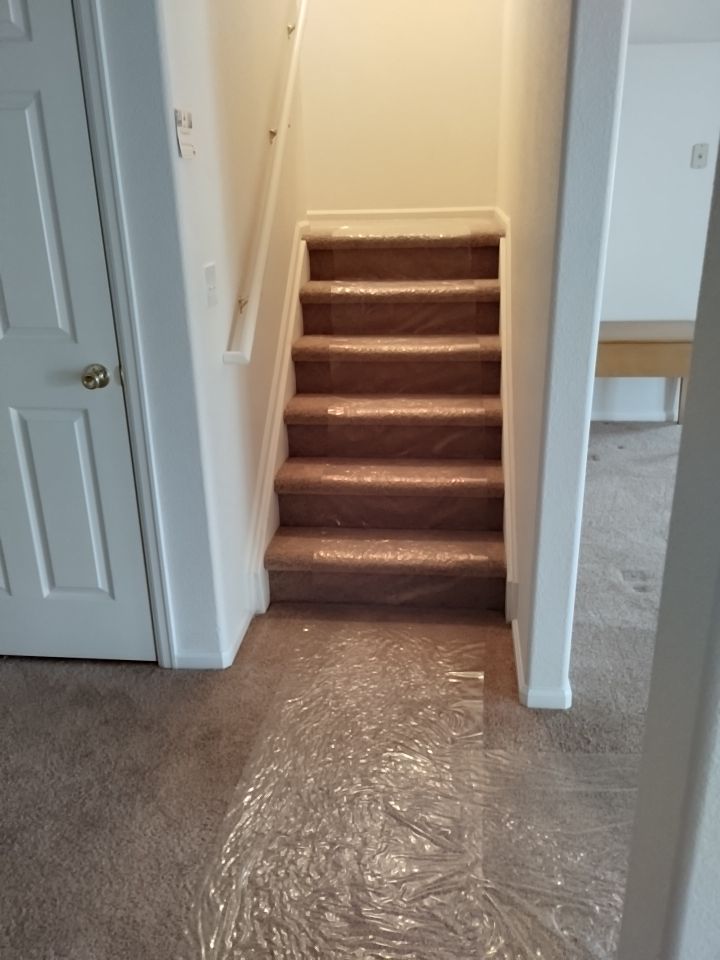 Mold Damage by Accountable Home Services