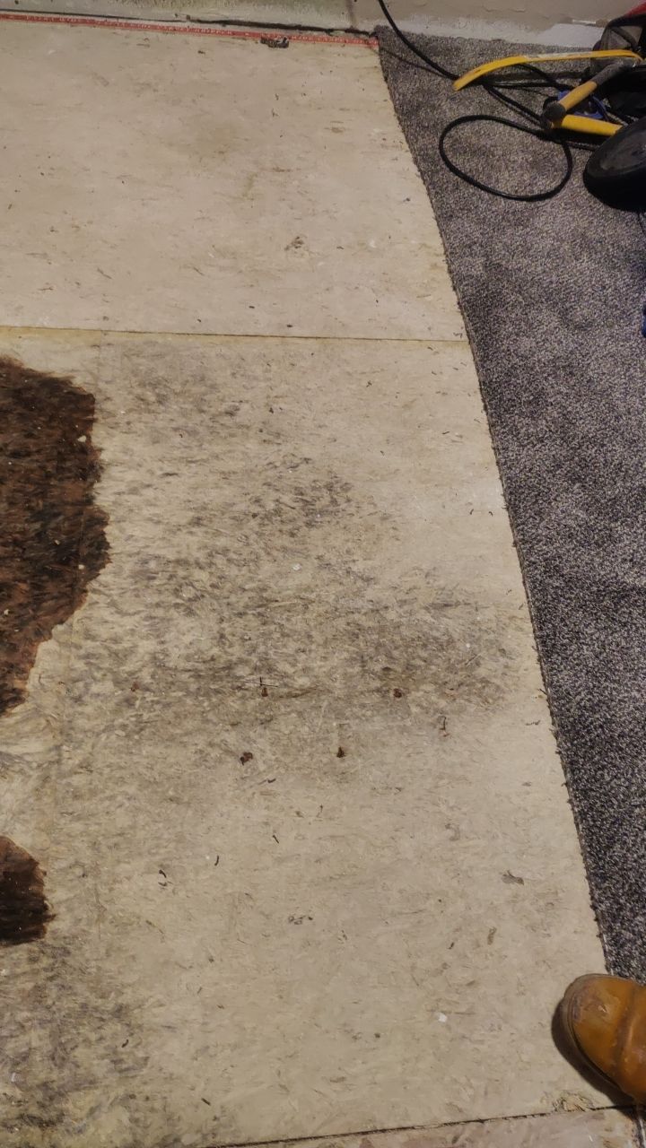 Water Damage Restoration by Accountable Home Services