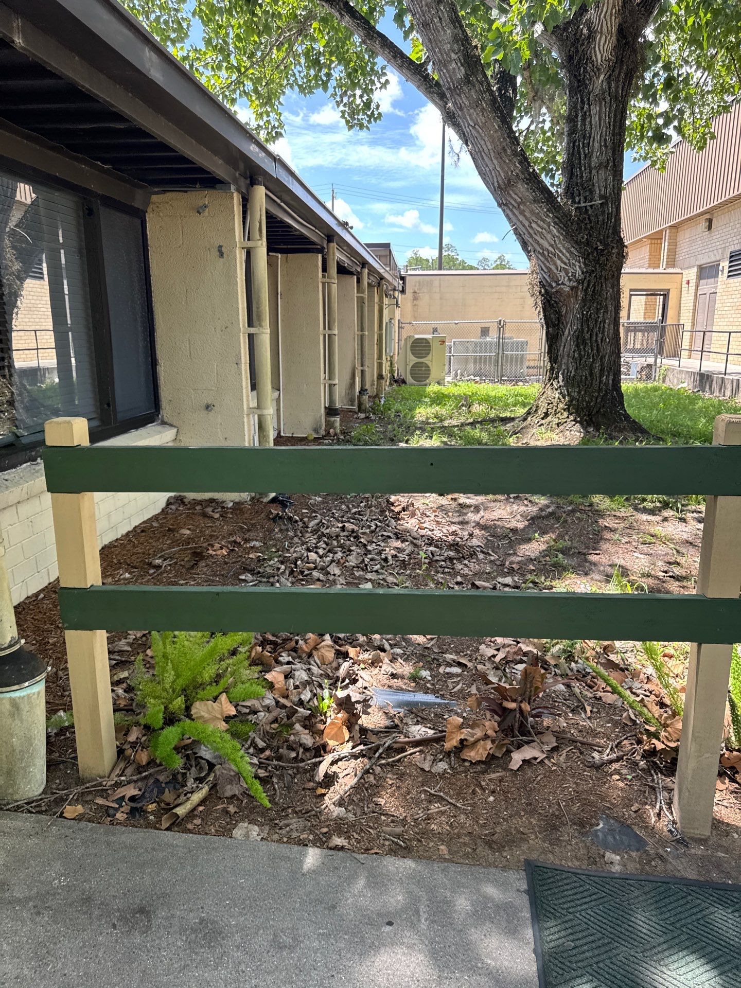 Green Cove Springs Junior High School | Landscape Refresh by ProGreen Services