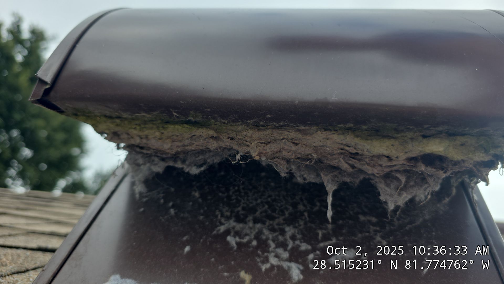 Dryer Vent Cleaning in Clermont by Hygienic Air, Inc