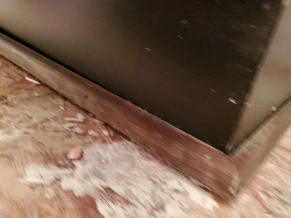 From Flooded to Flawless: A Holly Springs Bathroom Restoration by Elite Remodeling and Design LLC