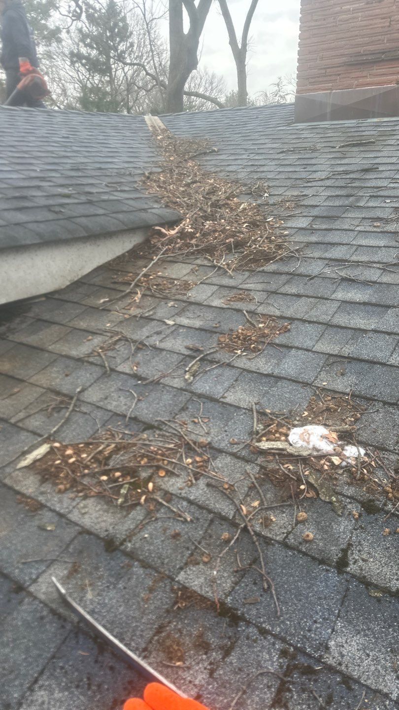 Bronx Roof and Gutter Cleaning by Above All Gutters 