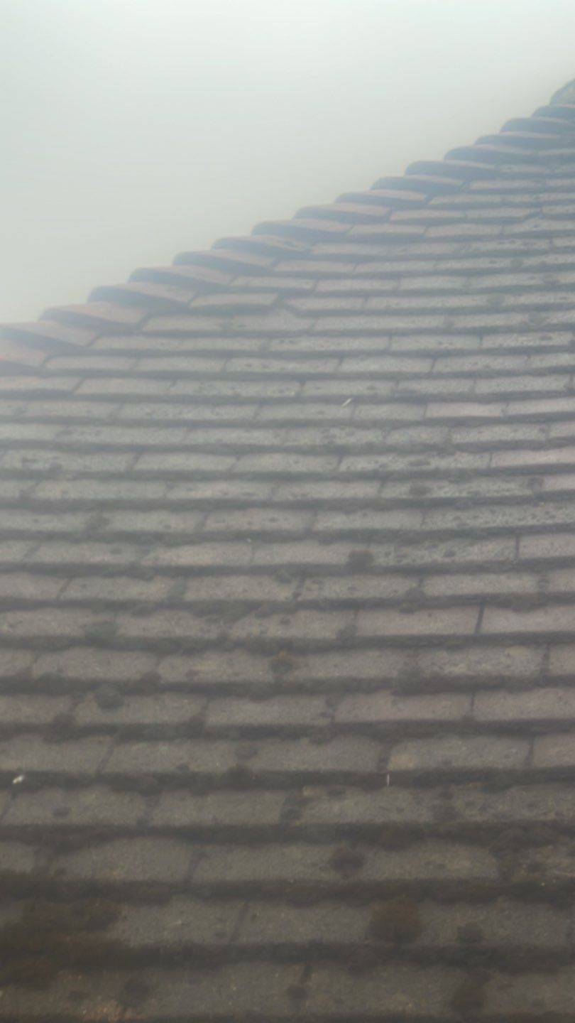 Roof Clean  - Moss Removal - Gutter Clean by Ges Exterior Cleaning ltd