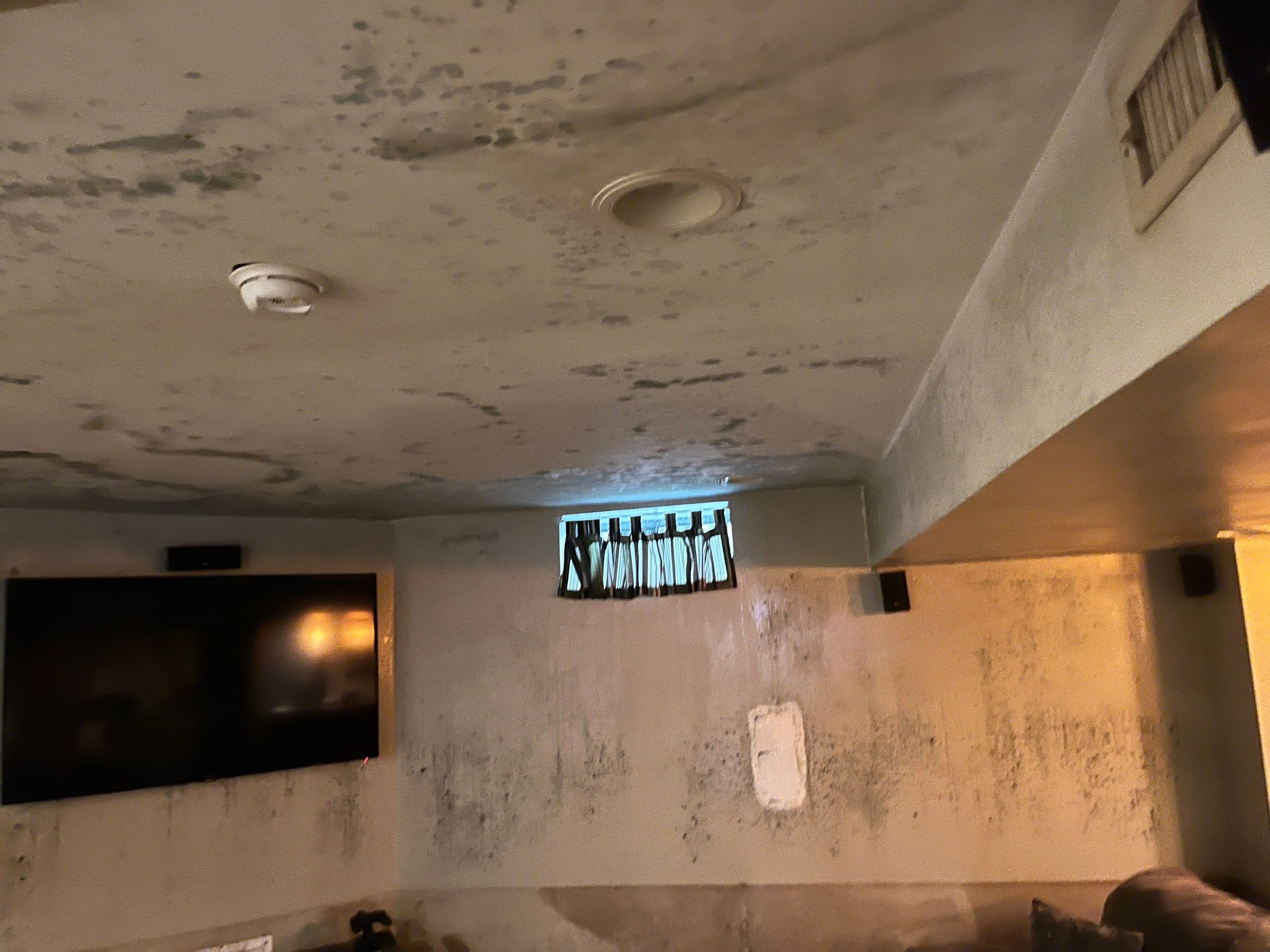 EMS Water Damage and Mold Remediation in Louisville, KY  by ANR Restoration