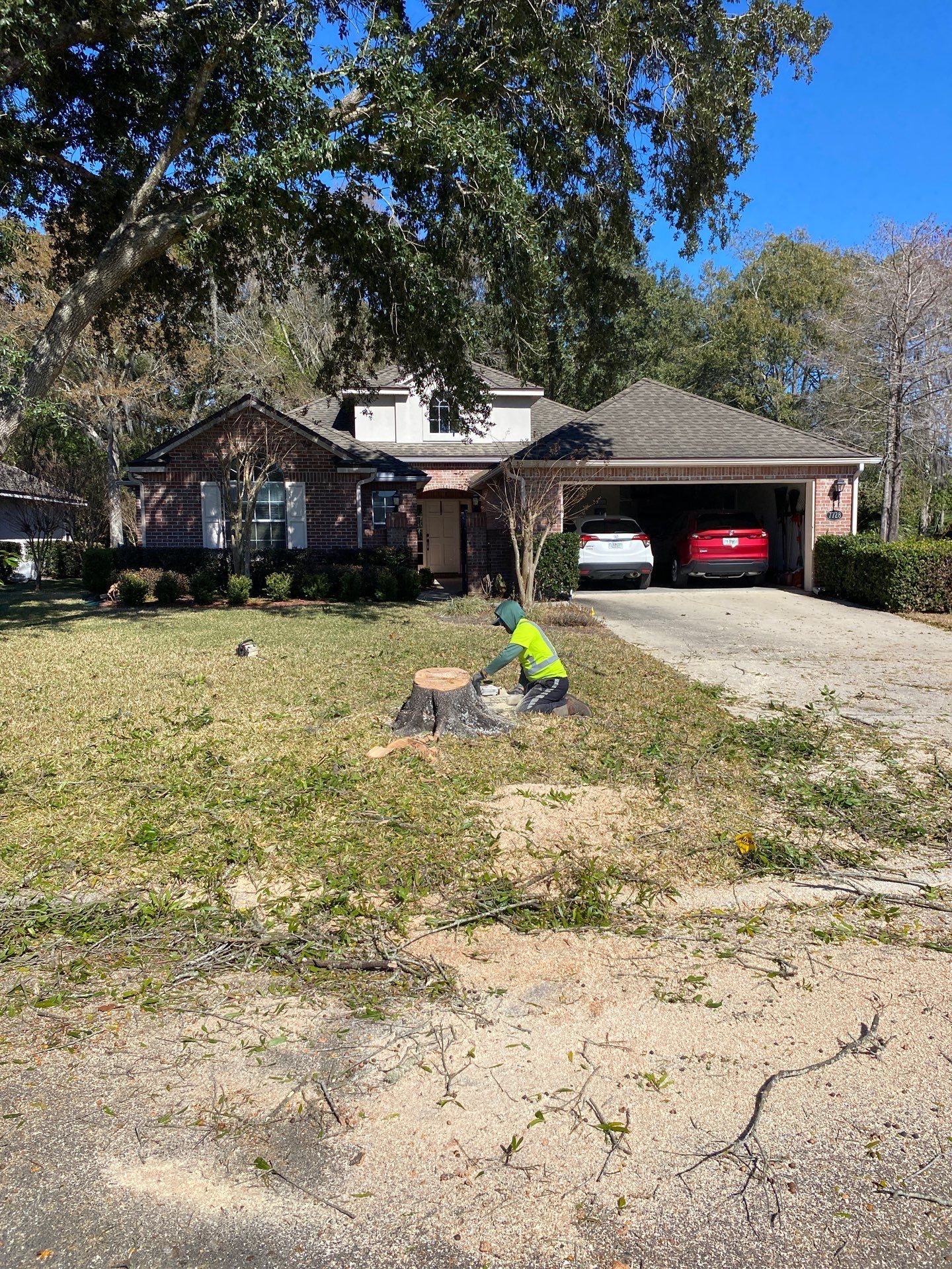 Residential | Tree Removal by ProGreen Services