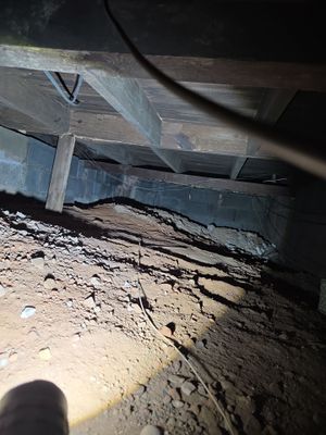 Structural Evaluation