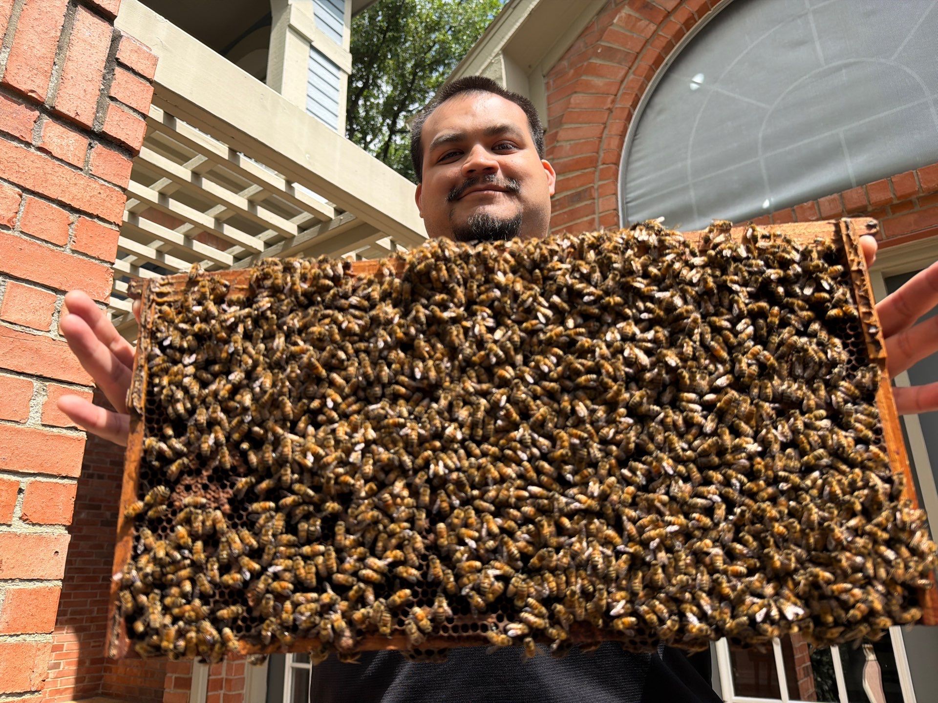 Apartment Retreat for Honey Bees in Garland by Rockwall Honey Bee Company