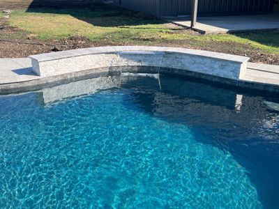 Freeform Pool with Expansive Concrete Deck