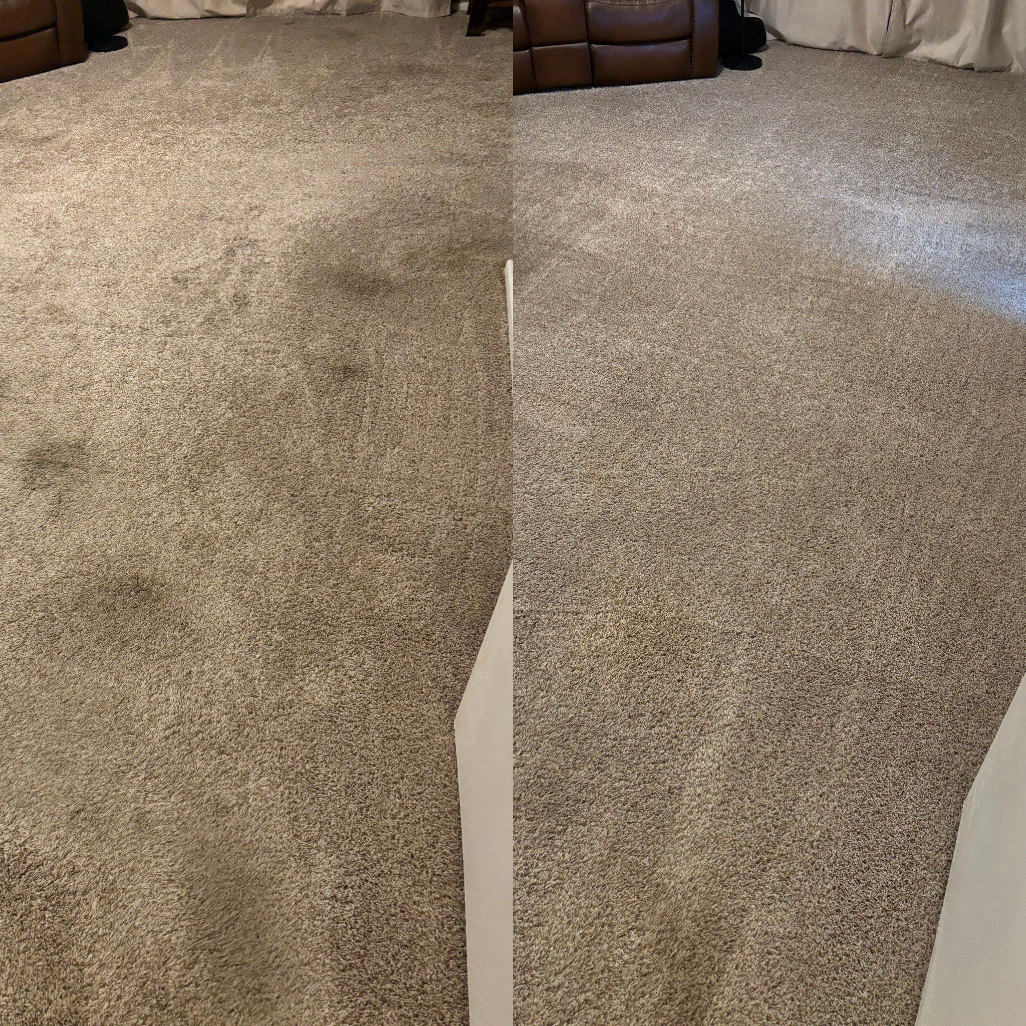 the service is deep cleaning the carpet improving its appearance and removing stains and dirt from the surface