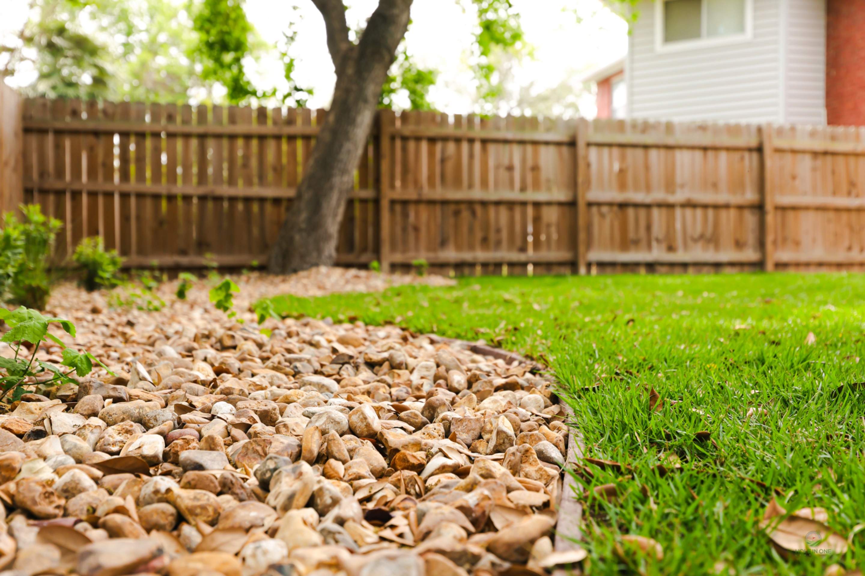 Landscape Design Henderson Pass, San Antonio Tx. by Hole In One Lawns, LLC