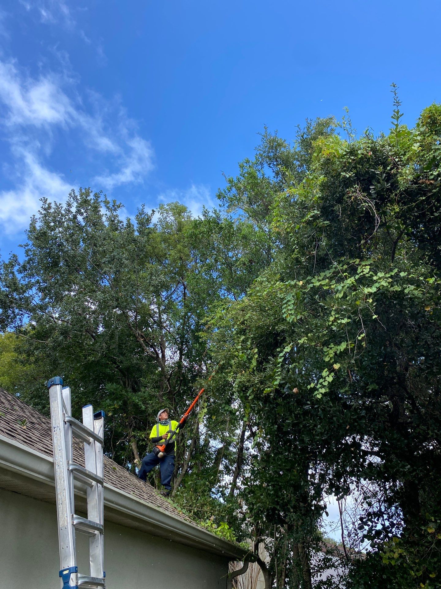 Deerwood Residence | Property Clean Up  by ProGreen Services