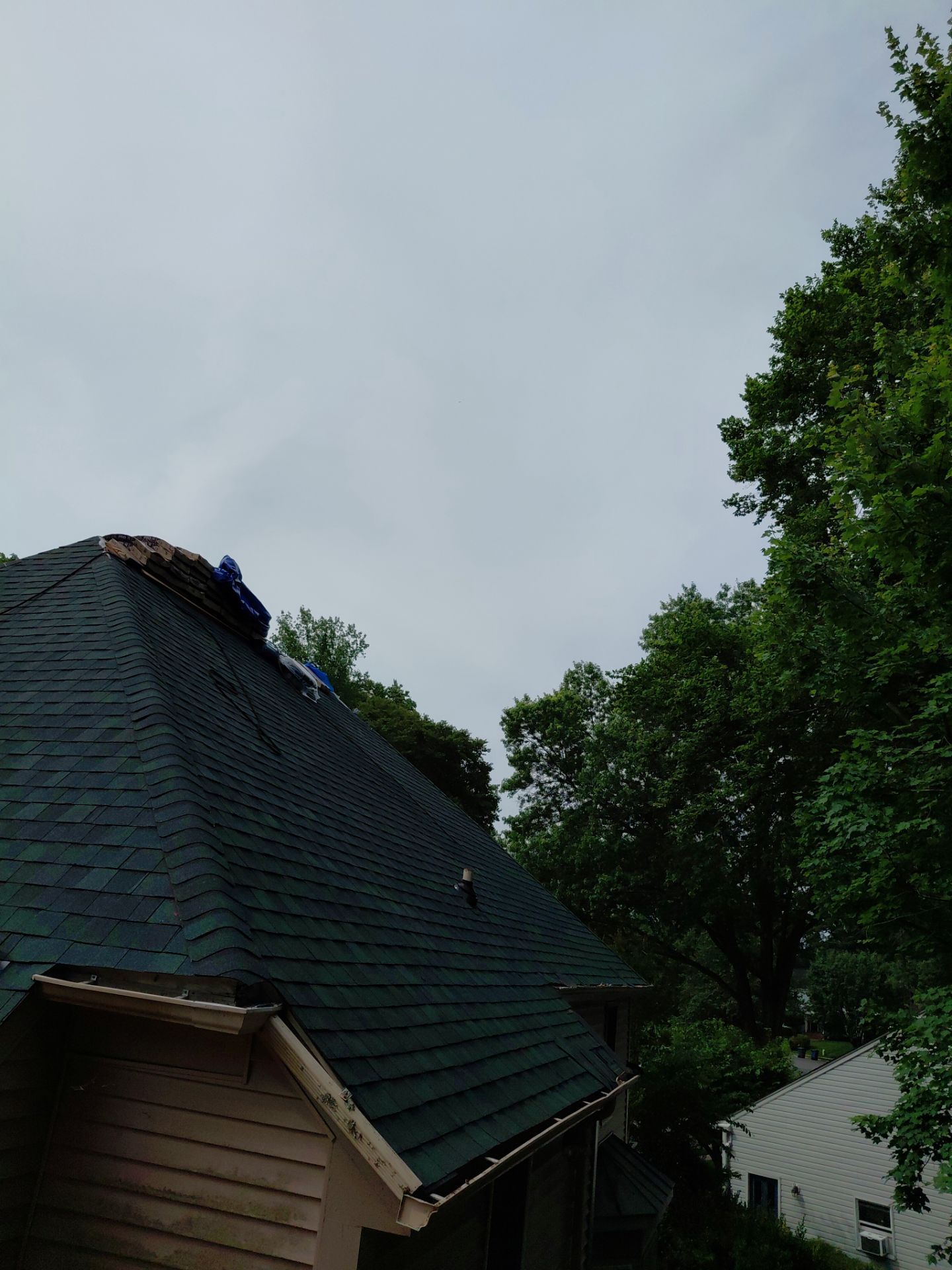 Springfield: Roof Replacement with CertainTeed Landmark Pro in Max Def Evergreen by RM Banning, Inc.