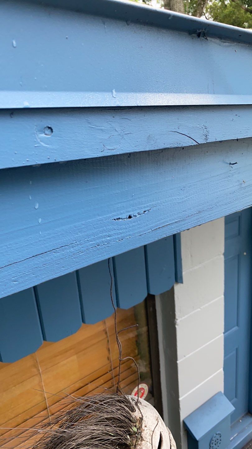 Residential Coatings by Fiddlers Roofing