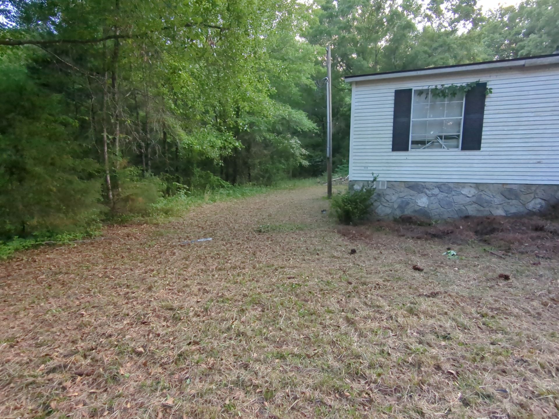 Exterior Clearing - tree trimming - grass cut by Swift Signings and Services LLC