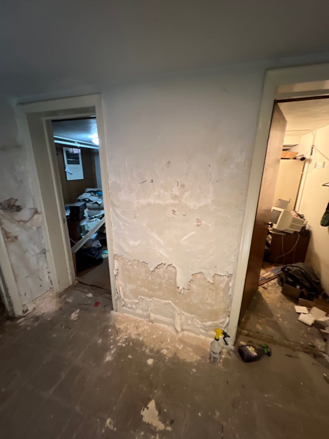 Mold Remediation by Accountable Home Services