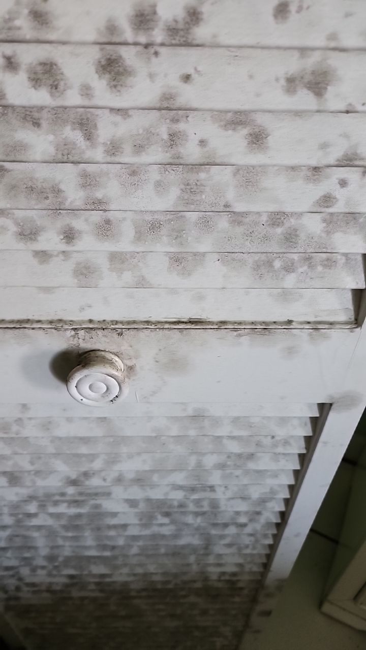 Damage caused from leaking water hea  er by Building performance Solutions LLC