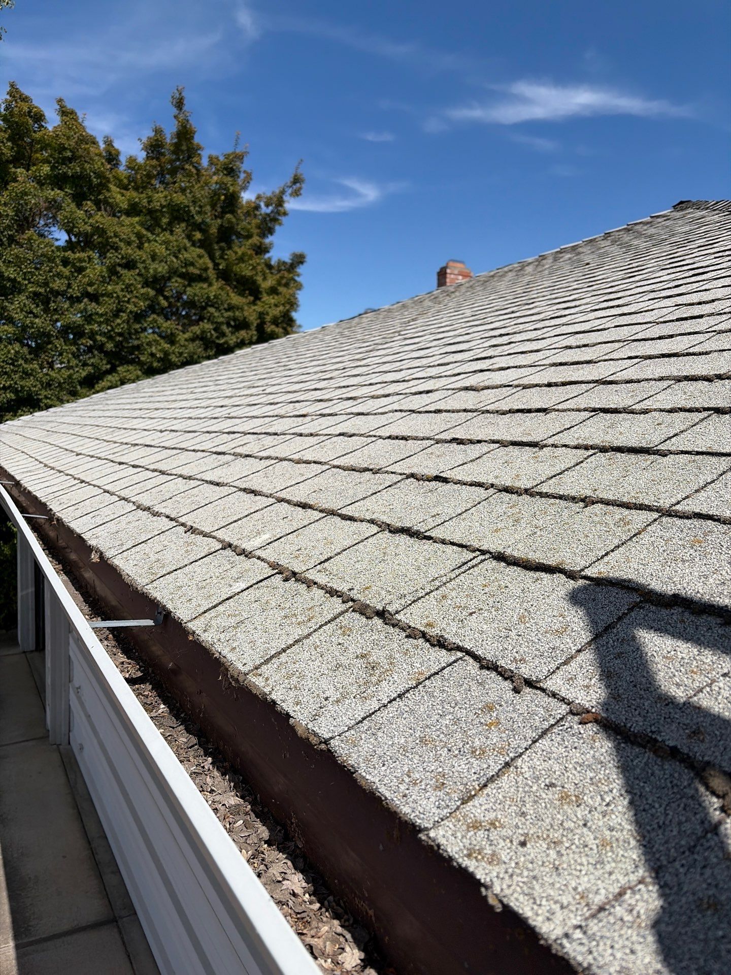 Roof Rejuvenation using Roof Maxx Treatment by Roof Maxx of Folsom