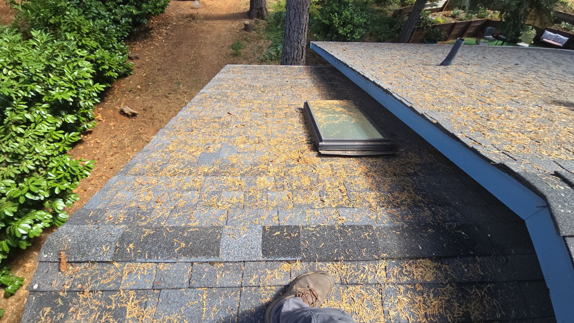 Roof Rejuvenation using Roof Maxx Treatment by Roof Maxx of Folsom