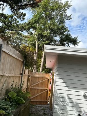 Project in Warwick