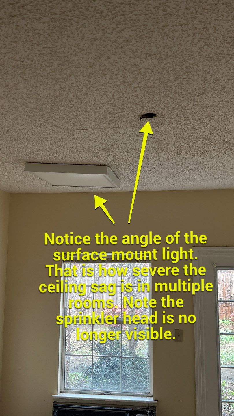 The Gardens of Rome by PC&D