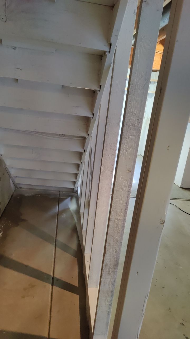 Mold Damage by Accountable Home Services