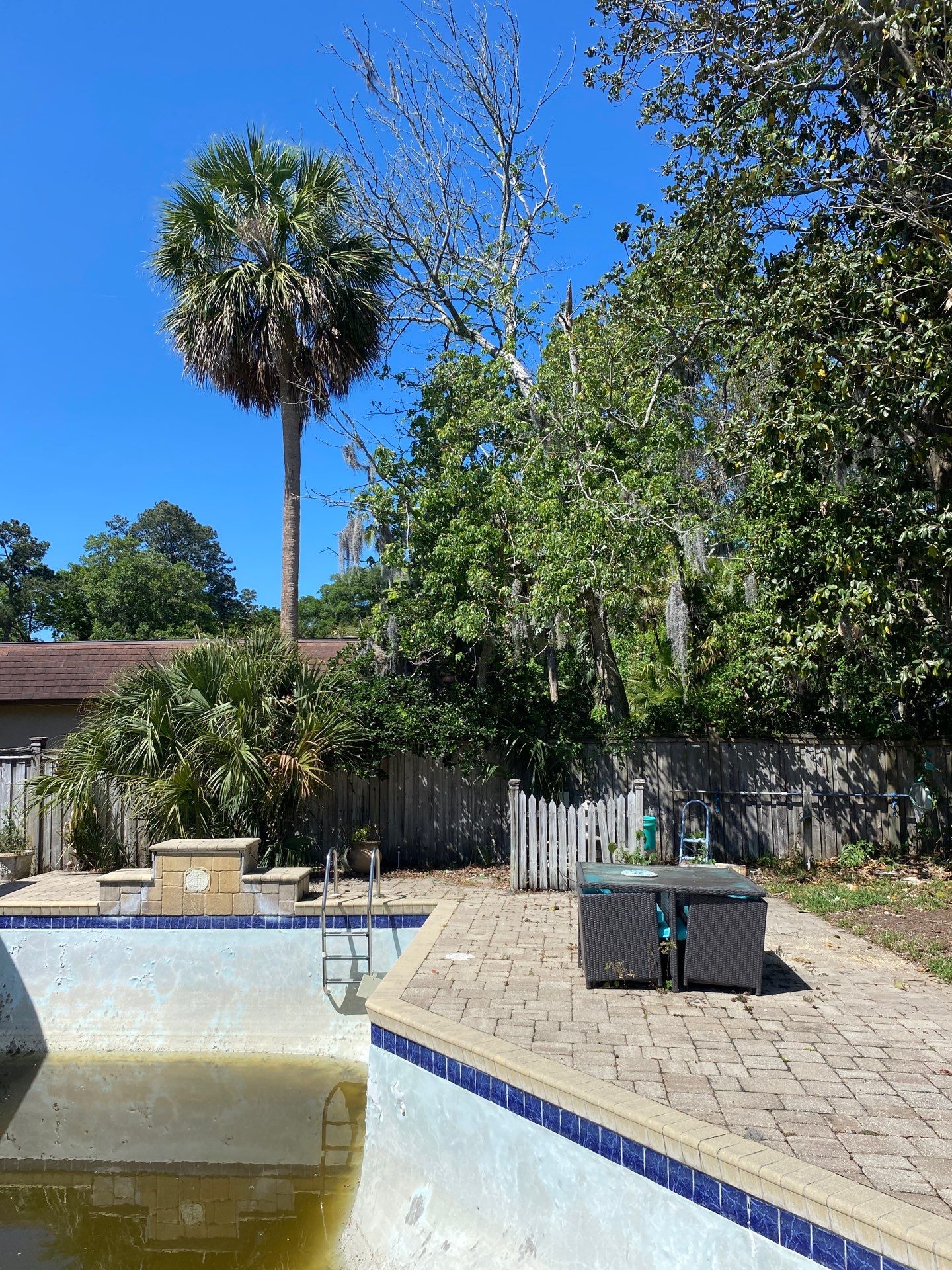 Residential | Tree Removal & Trimming by ProGreen Services