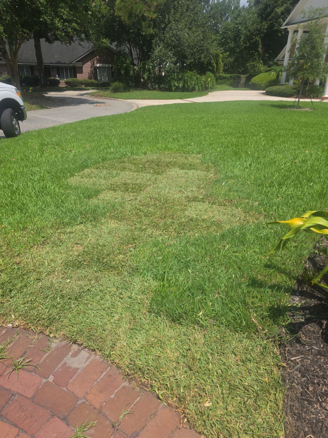 Deerwood Resident | Sod & Palm Replacement  by ProGreen Services