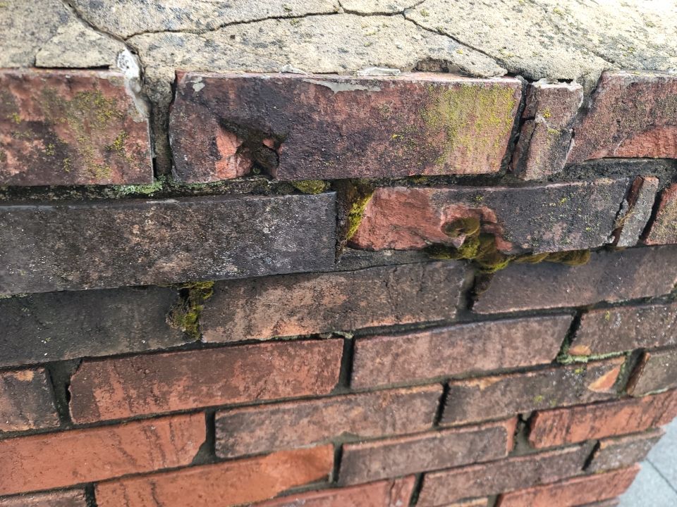 Brand: Atlas Pinnacle Color: Pristine Scotchgard Copper Canyon Drip: Musket Brown by Eagle Eye Roofing