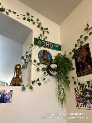 Interior Decorative Wall and Artificial Vine Installation in Phoenix