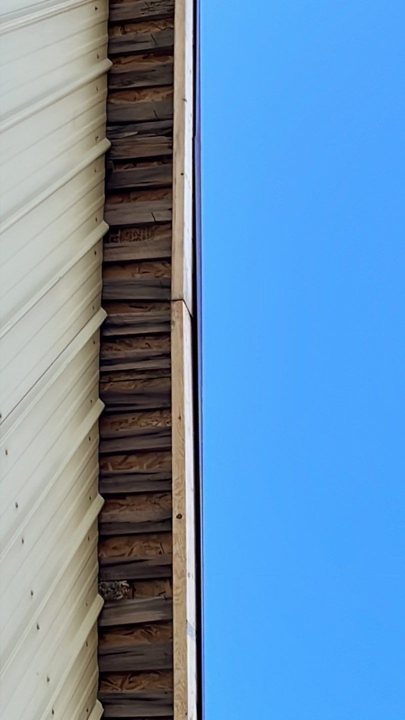 Residential Roofing Installation using Standing seam - Coco Brown by Nitro Roofing and Construction
