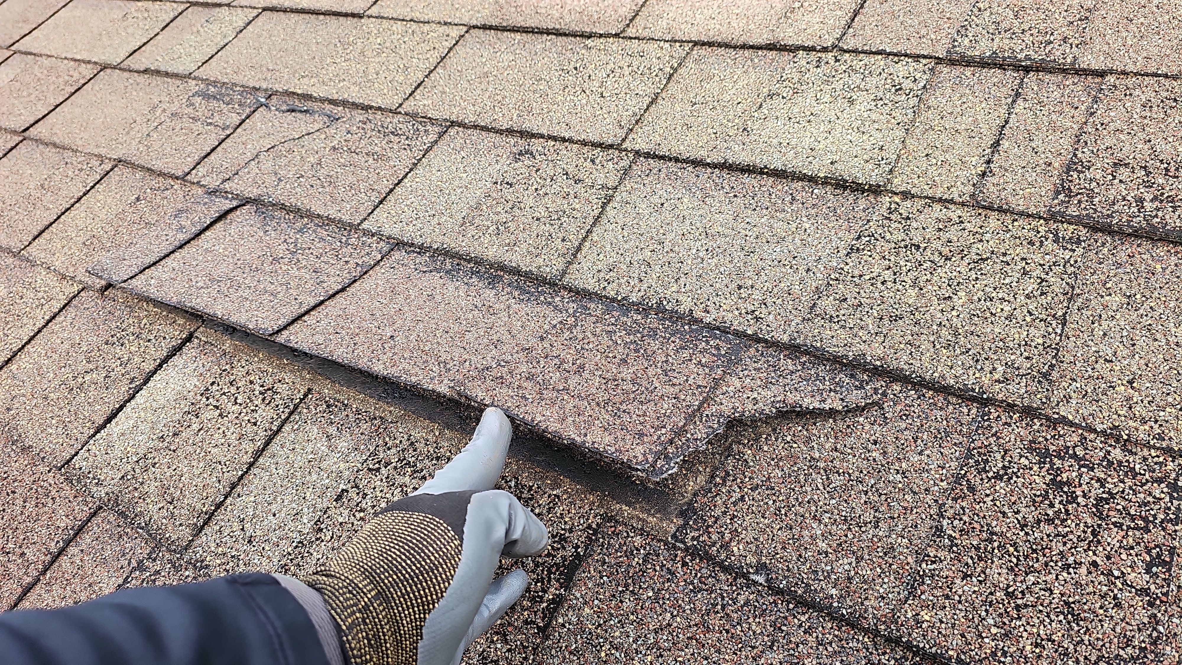 Atlas Pinnacle, Color, Coastal Granite, Drip Edge, Color, Black by Eagle Eye Roofing