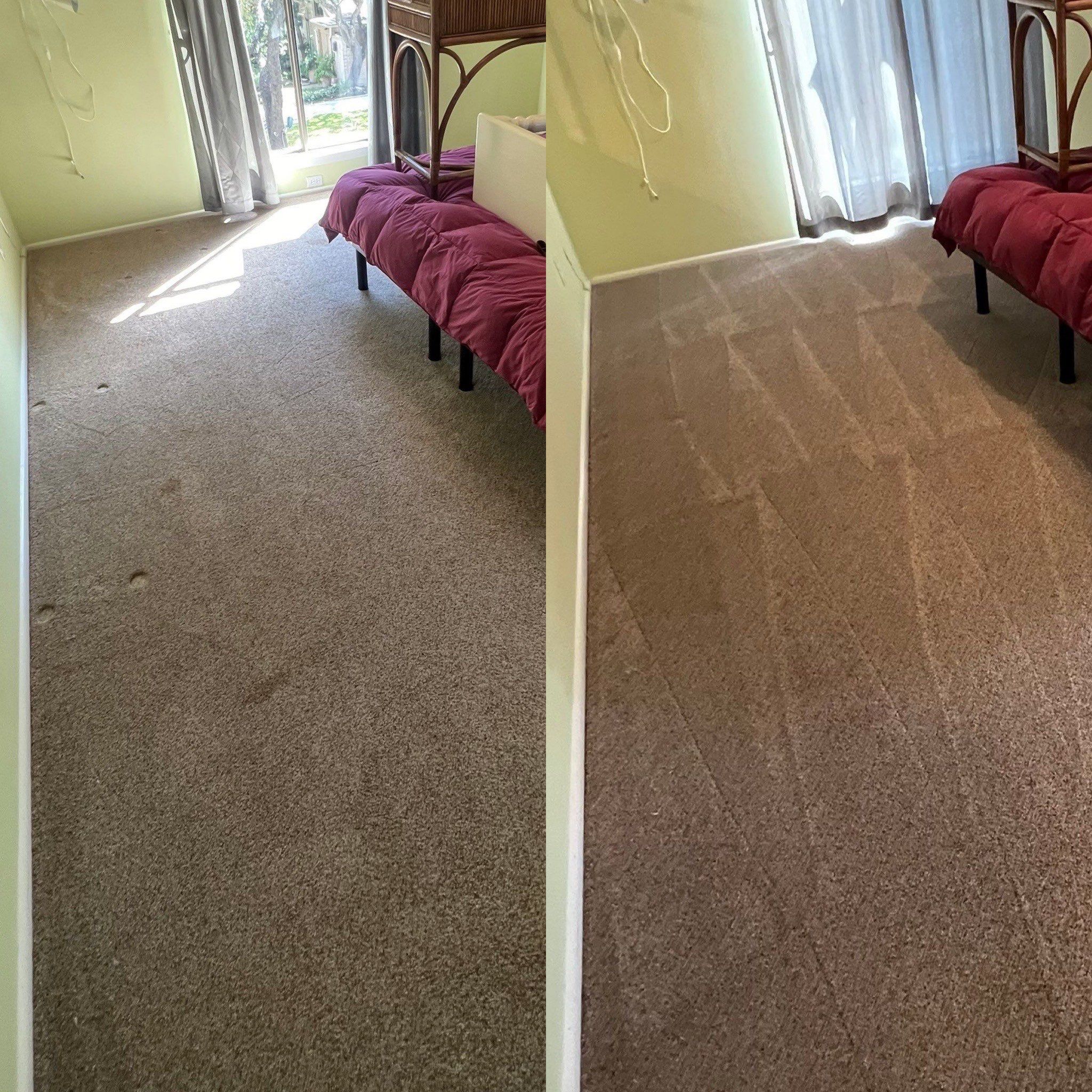 the service shown is carpet cleaning with a noticeable difference in dirt removal and overall cleanliness of the carpet