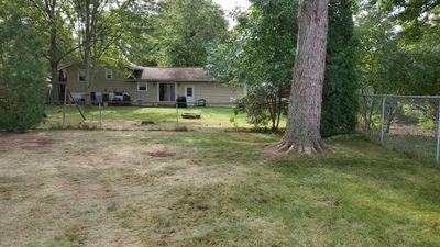 Oak Tree Removal