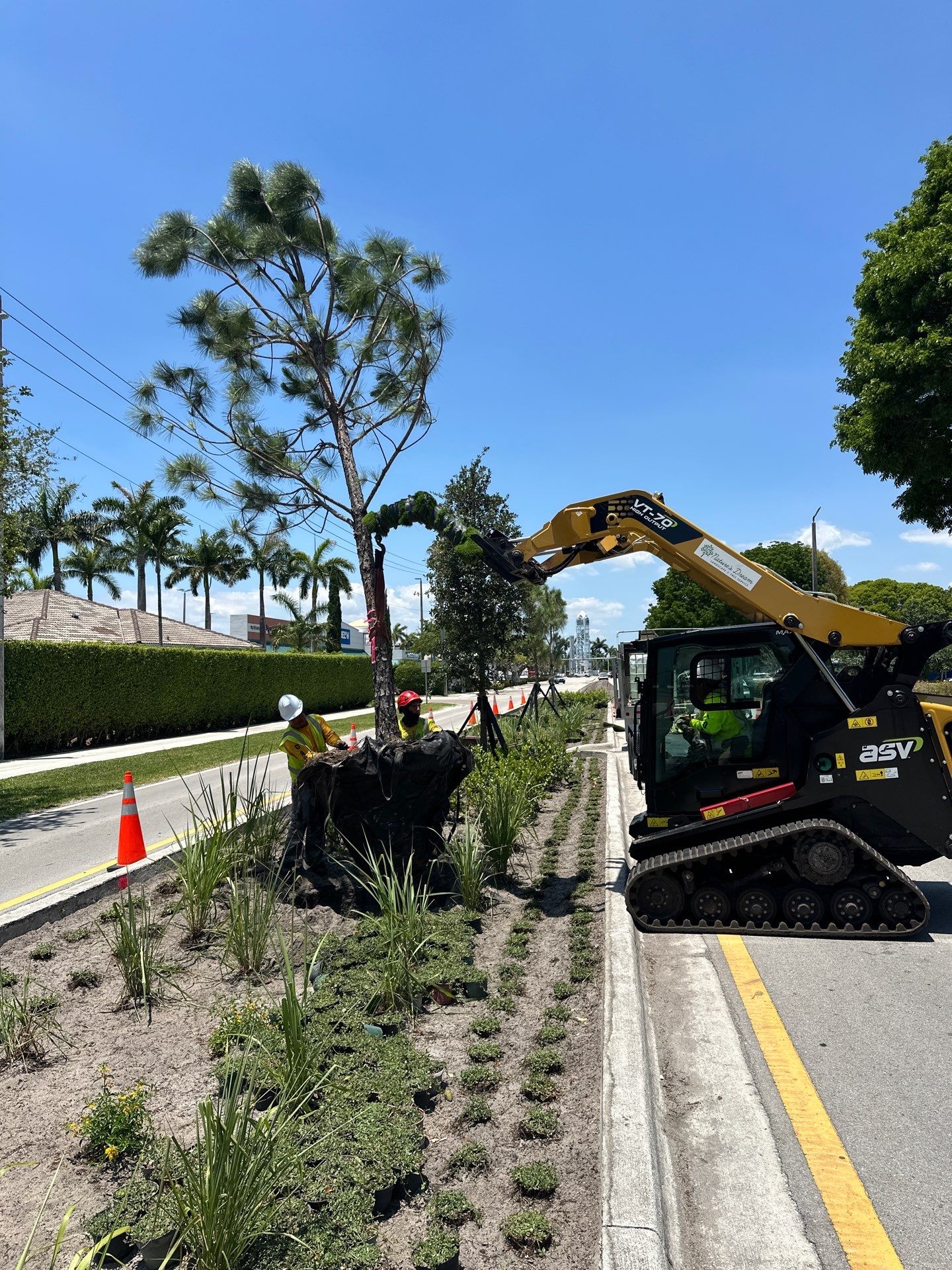 Pinecrest Median - New Native Landscape by Nature's Dream by Nature's Dream Landscape and Tree Service