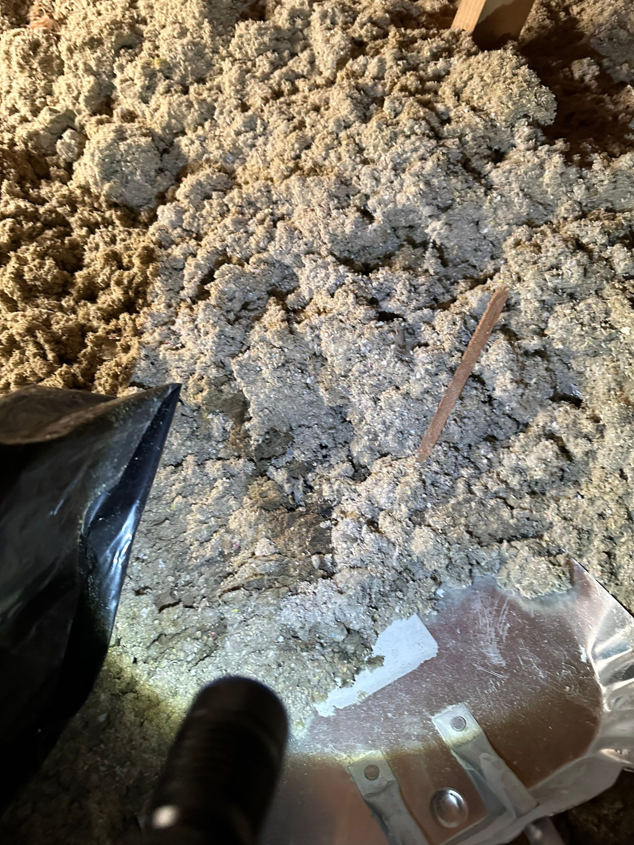 Mold in Crawl Space in Broomfiled, CO by Alpha Restoration 