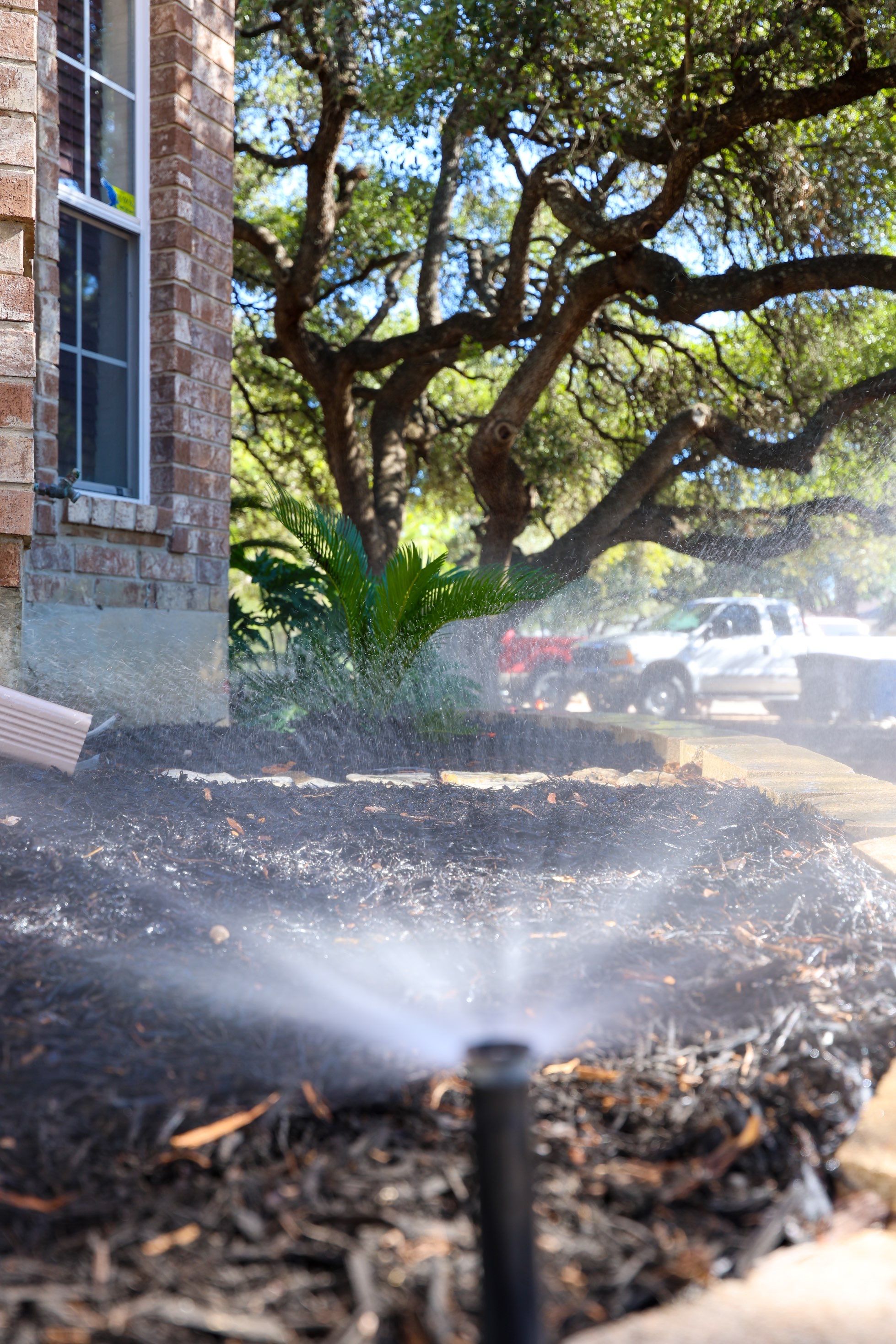 Oak Haven Heights - San Antonio, TX by Hole In One Lawns, LLC