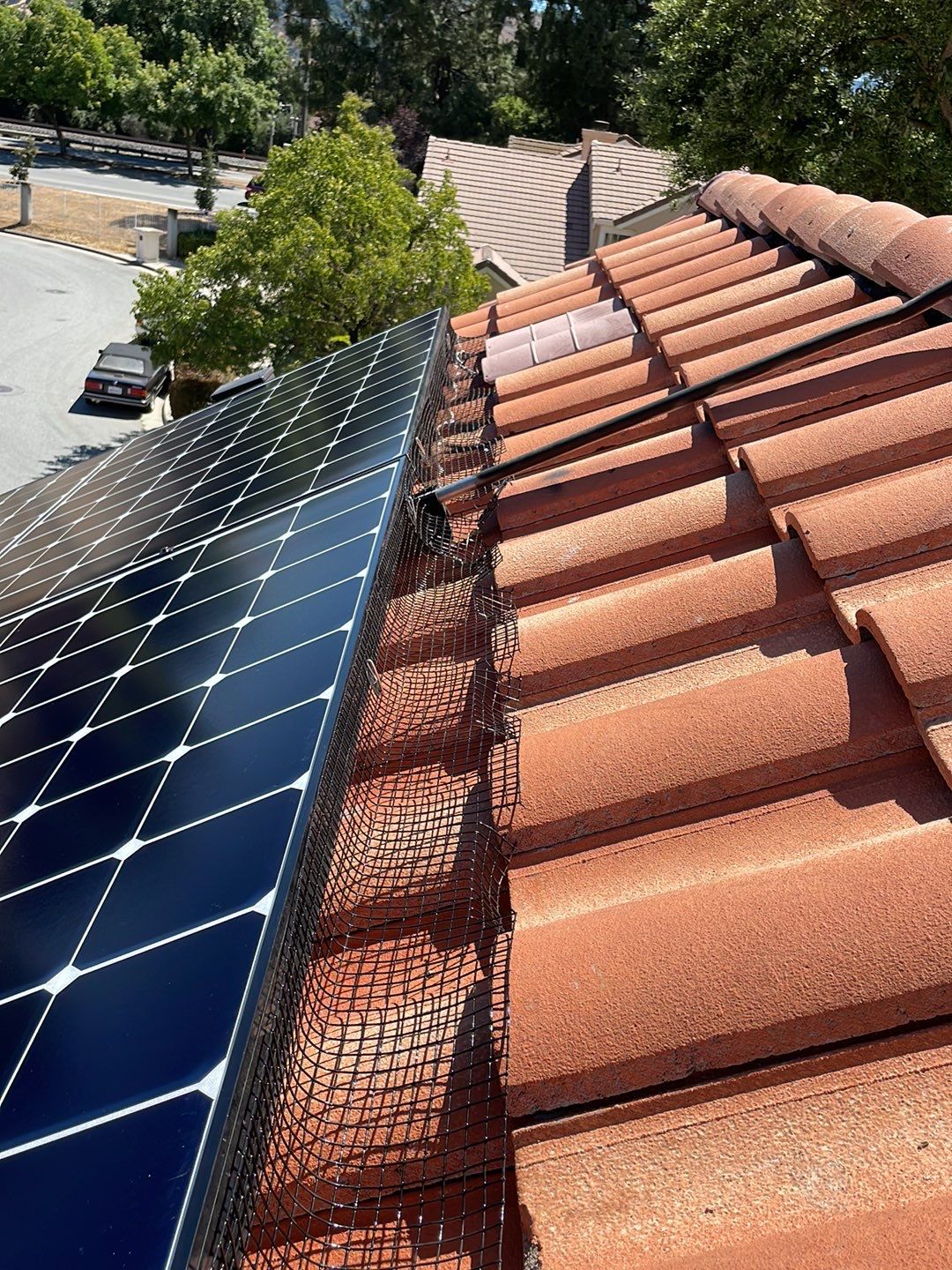 Solar Panel Bird Proofing using Critter Guard Mesh by All One Solar Shine