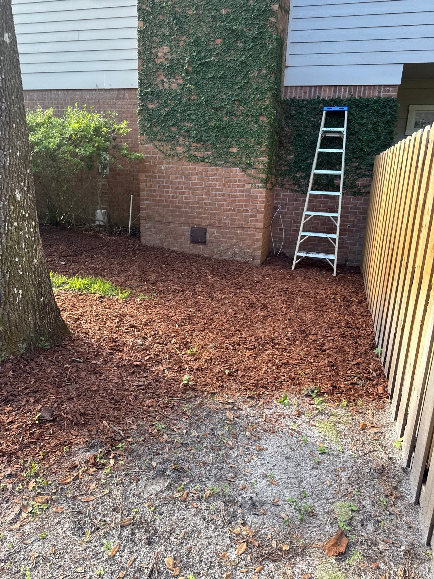 Deerwood Resident | Sod & Bed Design/Plant Installation by ProGreen Services