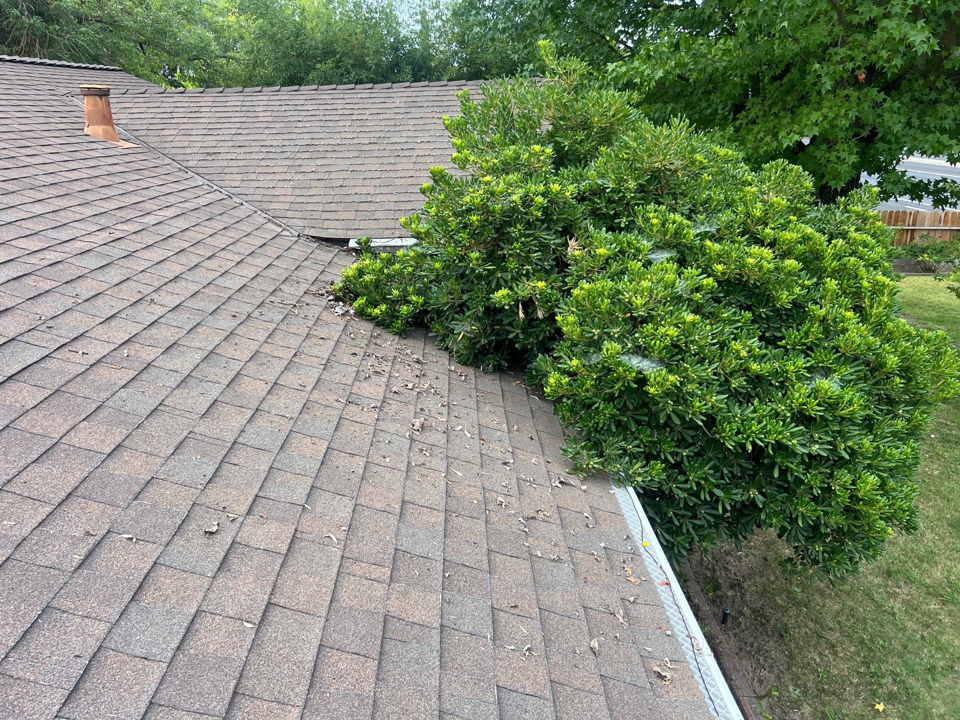 Roof Rejuvenation using Roof Maxx Treatment by Roof Maxx of Folsom